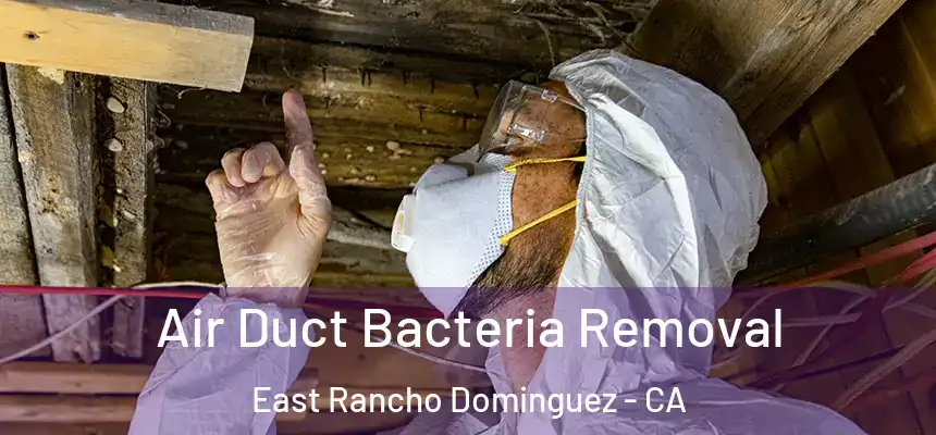  Air Duct Bacteria Removal East Rancho Dominguez - CA