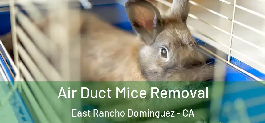  Air Duct Mice Removal East Rancho Dominguez - CA