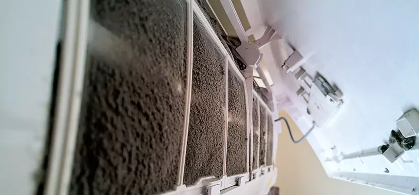 Preventive Air Duct Bacteria Removal in East Rancho Dominguez