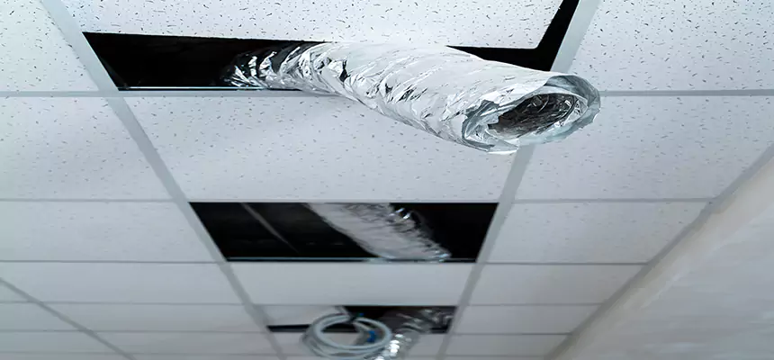 Our Air Duct Pet Hair Removal Services in East Rancho Dominguez, CA