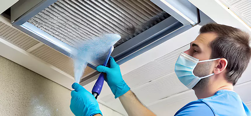 Proactive Dryer Vent & Auxiliary Duct Pollen Cleanup in East Rancho Dominguez, CA