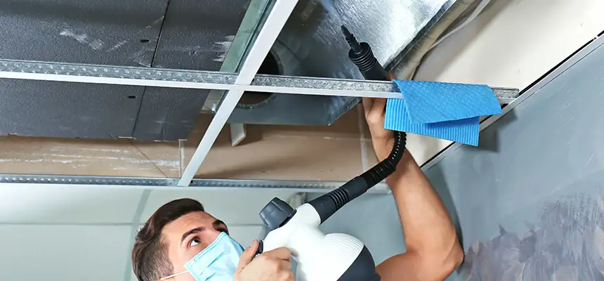 Our Air Duct Rodent Removal Services in East Rancho Dominguez, CA