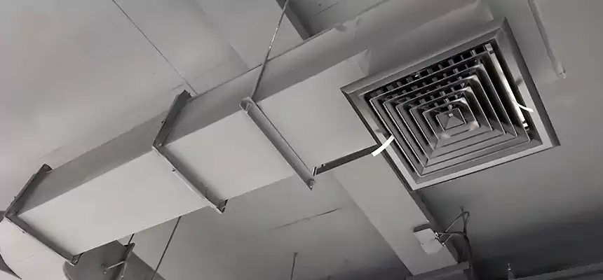 Restorative Allergy Relief Vent Cleaning – Coil, Blower & Housing Detail in East Rancho Dominguez