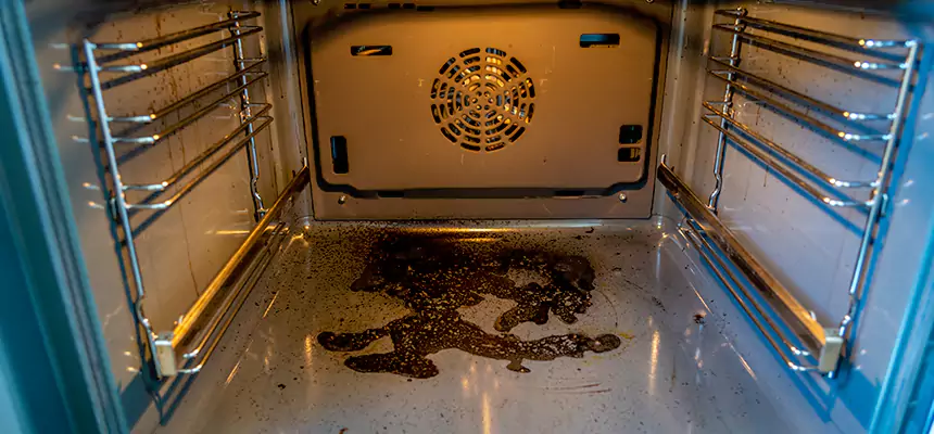 Our Dryer Vent Mold Cleaning Services in East Rancho Dominguez, CA