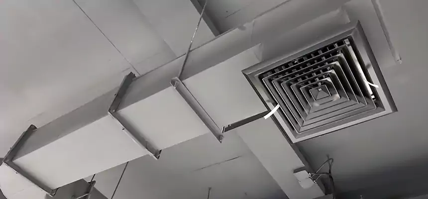 Our Pest Removal From Ducts Services in East Rancho Dominguez, CA