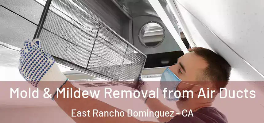  Mold & Mildew Removal from Air Ducts East Rancho Dominguez - CA