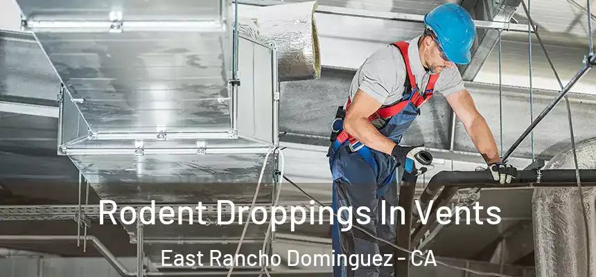  Rodent Droppings In Vents East Rancho Dominguez - CA
