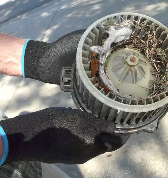 About Air Duct Mice Removal in East Rancho Dominguez, CA