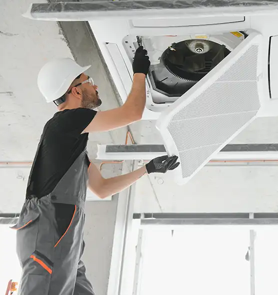 About Air Duct Rodent Removal in East Rancho Dominguez, CA