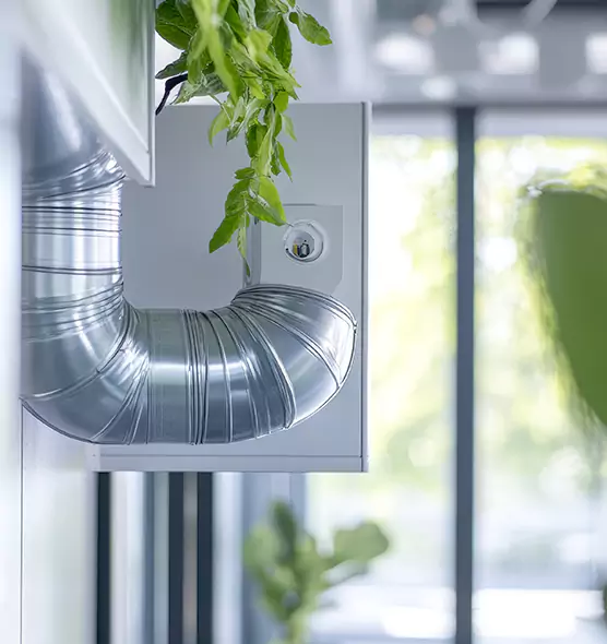 Professional Eco-Friendly Duct Cleaning Services in East Rancho Dominguez, CA