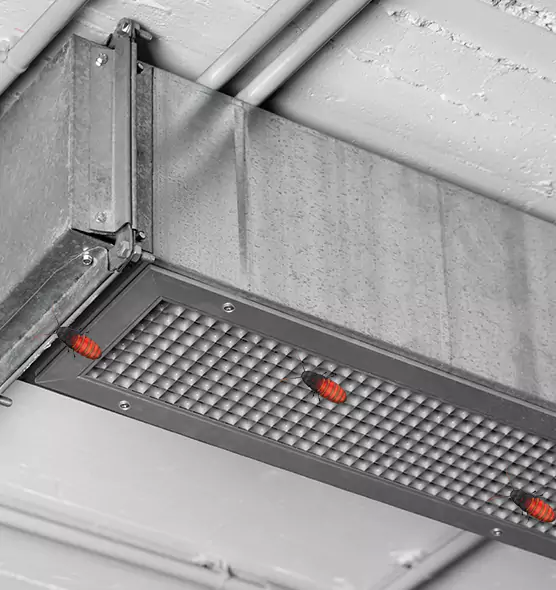 Affordable Insect Removal from Air Ducts in East Rancho Dominguez, CA