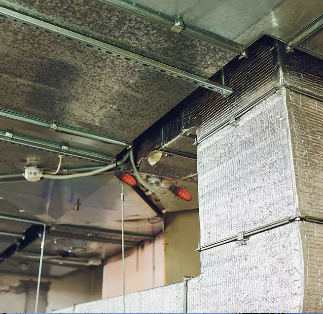 Why Homeowners & Businesses Trust Us in East Rancho Dominguez, CA?