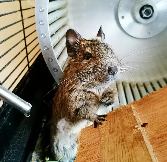 Why Homeowners & Businesses Trust Us East Rancho Dominguez, CA