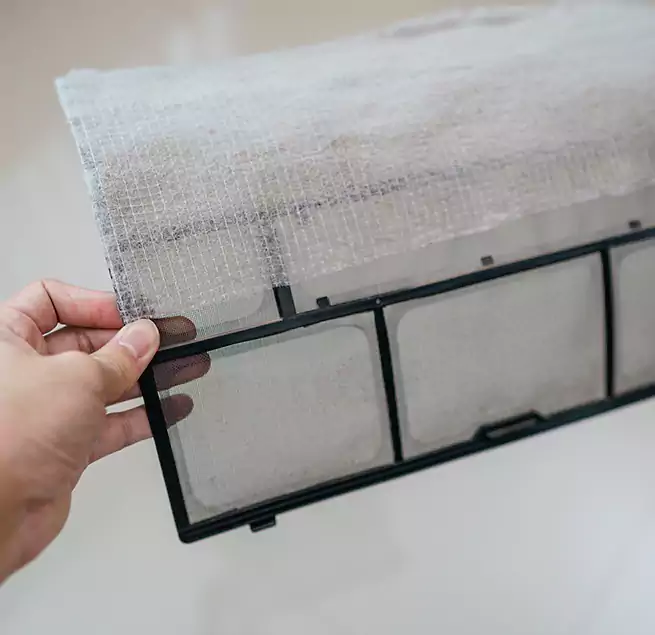 Why Homeowners & Businesses Trust Us in East Rancho Dominguez, CA?