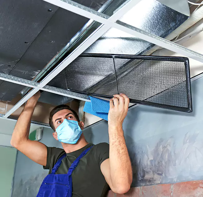 Why Homeowners & Businesses Trust Us in East Rancho Dominguez, CA?