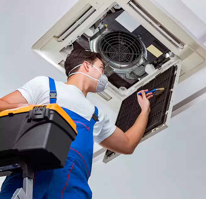 Why Homeowners & Businesses Trust Us in East Rancho Dominguez, CA?